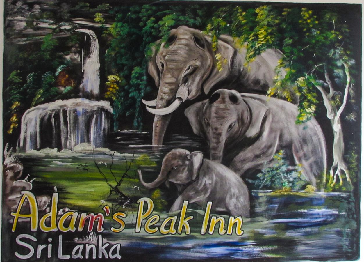 Adams Peak Inn Nallathanniya Exterior foto